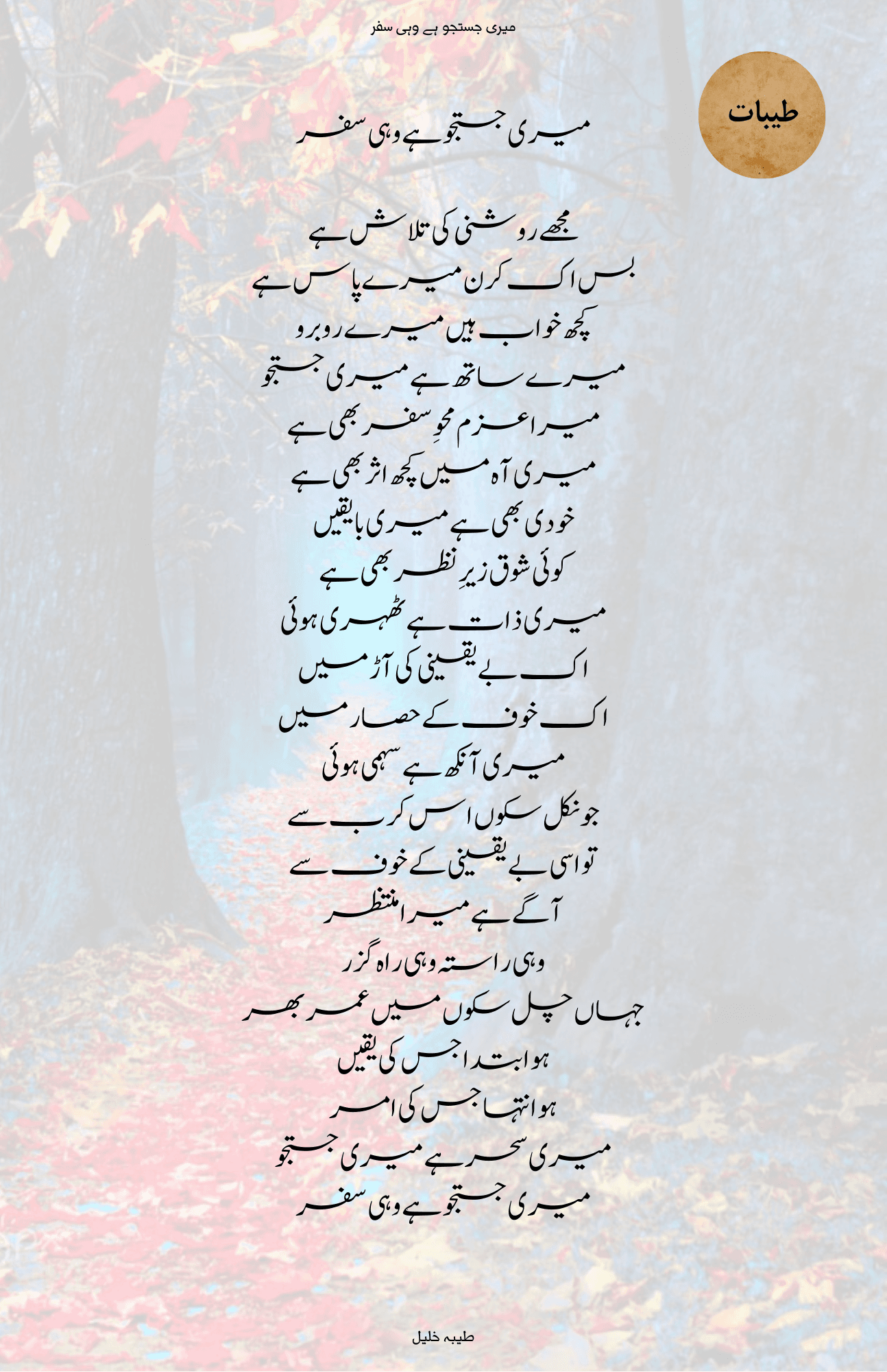 میری جستجو ہے وہی سفر